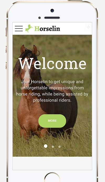 图片[2]-相应式马匹饲养养殖场养马场畜牧业网站源码 织梦dedecms模板 自顺应手机端-零度空间