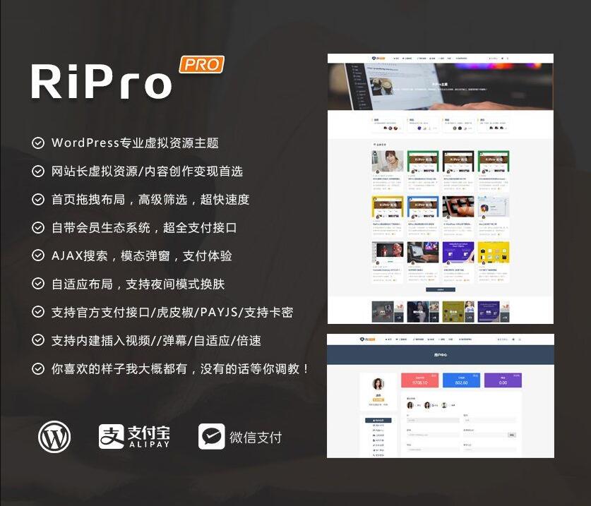 WordPress主题RiPro v8.6 有限制版-零度空间