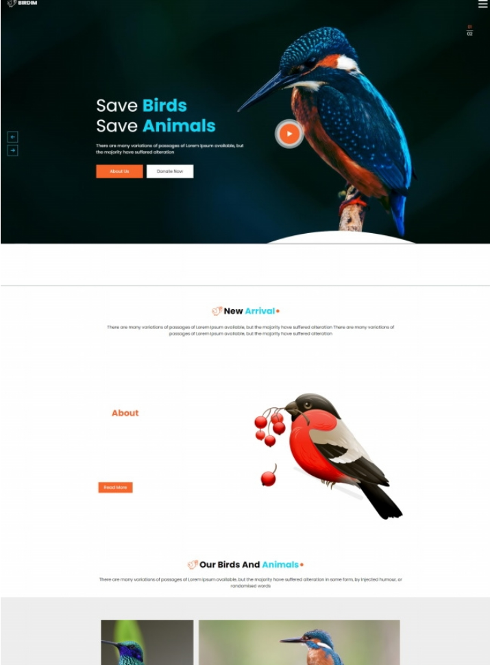 图片[1]-解救鸟类解救植物HTML5网站模板-零度空间
