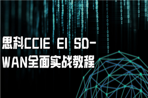 思科CCIE EI SD-WAN周全实战教程-零度空间