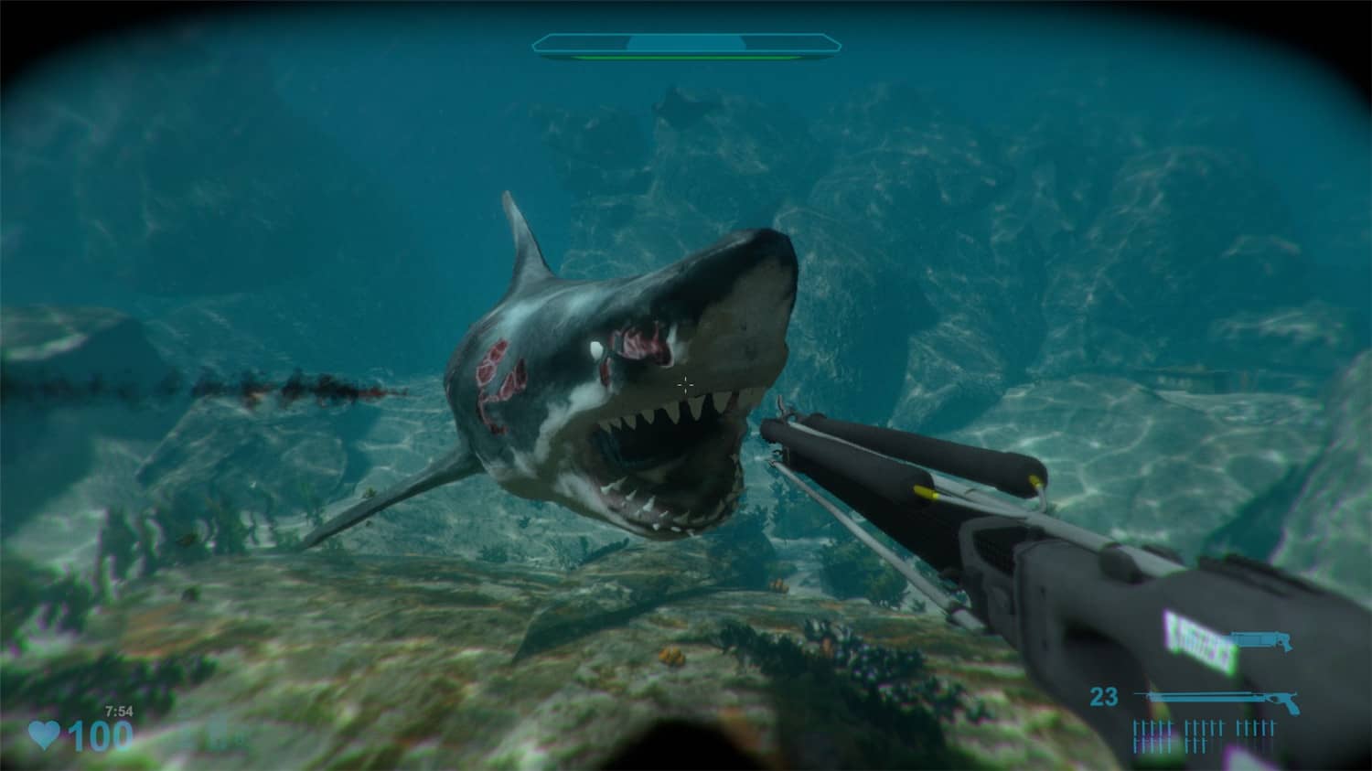 鲨鱼袭击殒命比赛2/Shark Attack Deathmatch 2-零度空间
