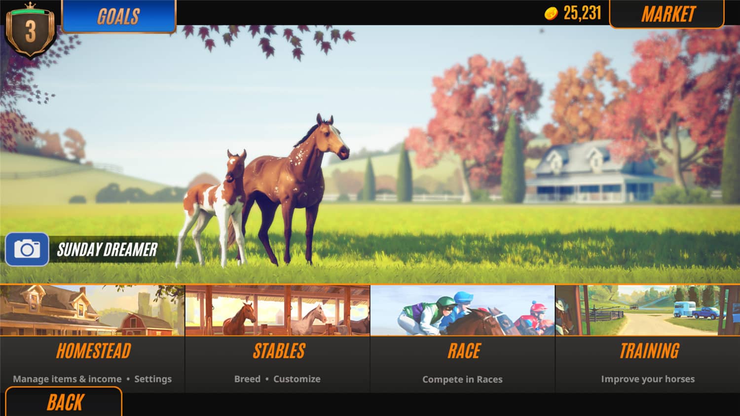 图片[4]-家族传奇：马匹养成竞技/Rival Stars Horse Racing: Desktop Edition-零度空间